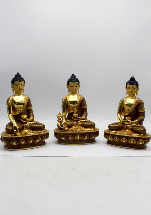 Fine Arts  24 K Gold Sacred Medicine Buddha  Set