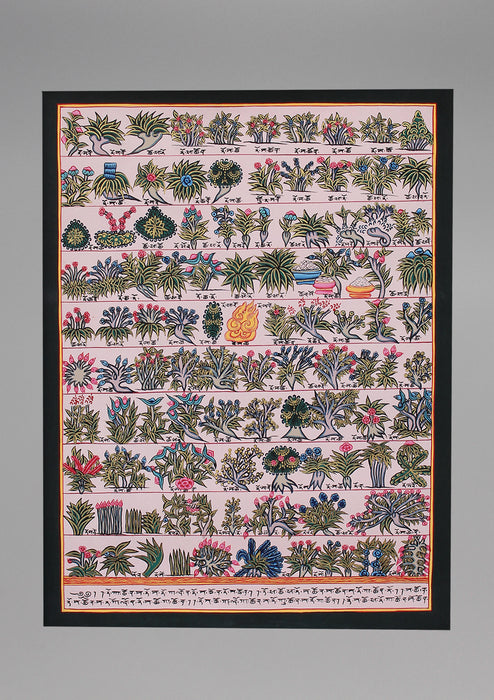 Tibetan Medicine Plants Painted Thangka