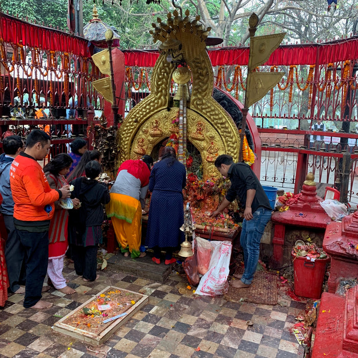 Ghode Jatra: The Horse Riding Parade