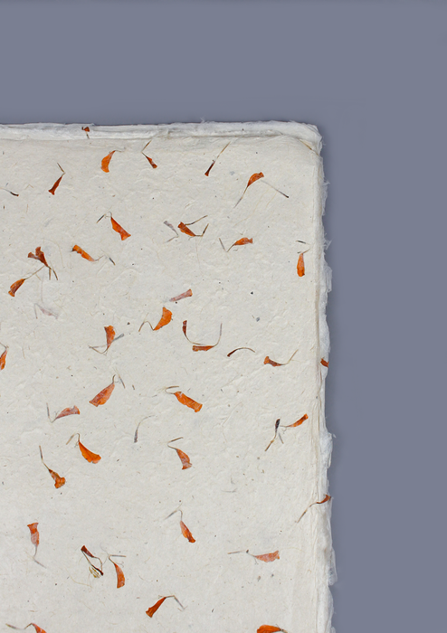 Marigold Flower Petals Embedded Lokta Paper Gift Wrap