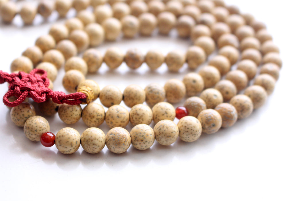 Lotus Seeds 108 Beads Prayer Mala with Carnelian Spacer