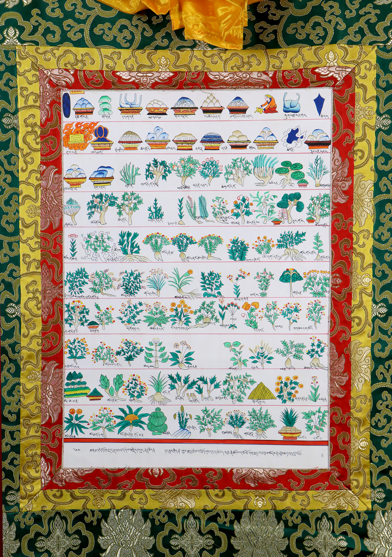 Medicine Plant Brocade Thangka Painting