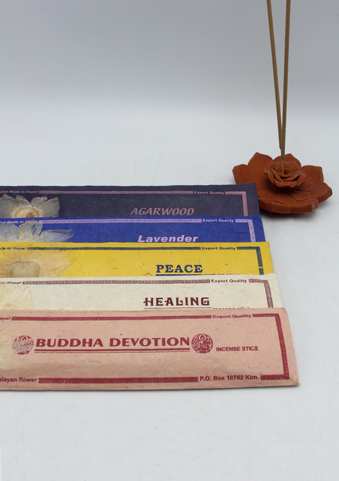 Buddha Healing Series Incense Sticks, Set of 5 Packs, Each 15 g
