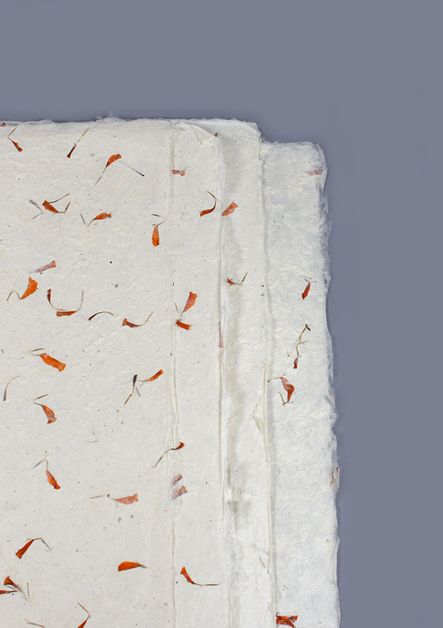 Marigold Flower Petals Embedded Lokta Paper Gift Wrap