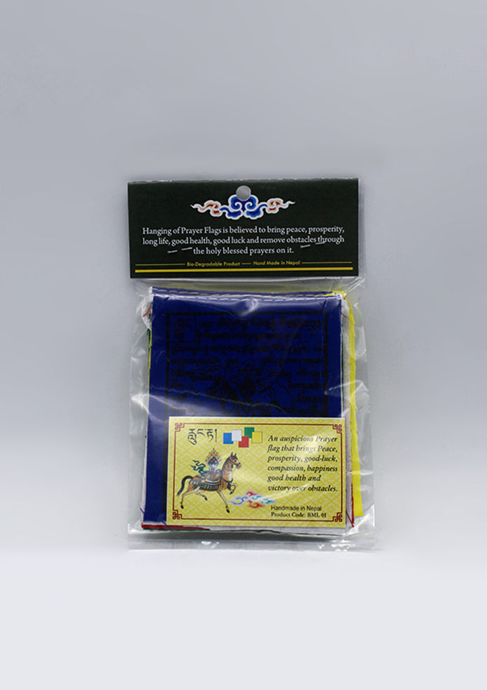 Baby Windhorse Prayer Flags
