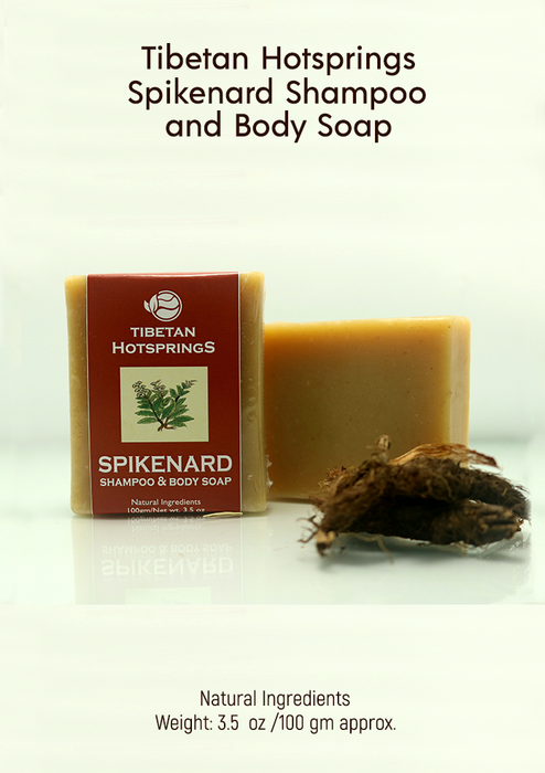 Tibetan Hotsprings Spikenard Shampoo & Body Soap