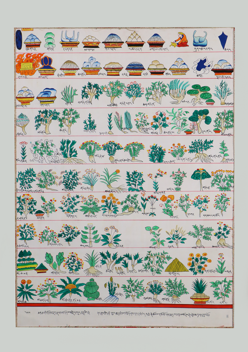 Medicine Plant Brocade Thangka Painting