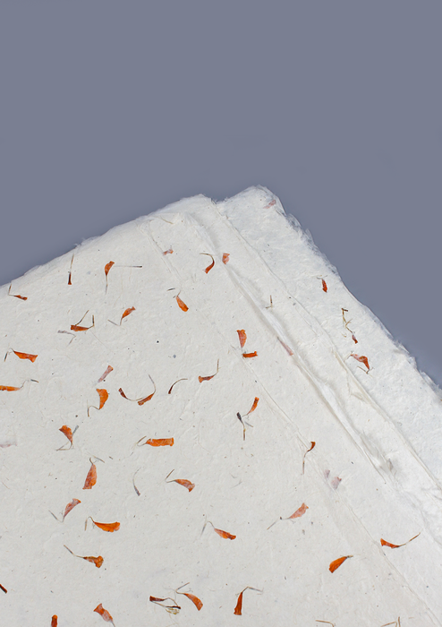 Marigold Flower Petals Embedded Lokta Paper Gift Wrap