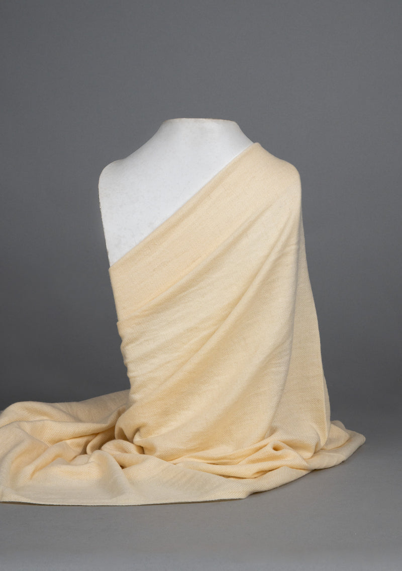 Rich Ivory Pure Pashmina Shawl