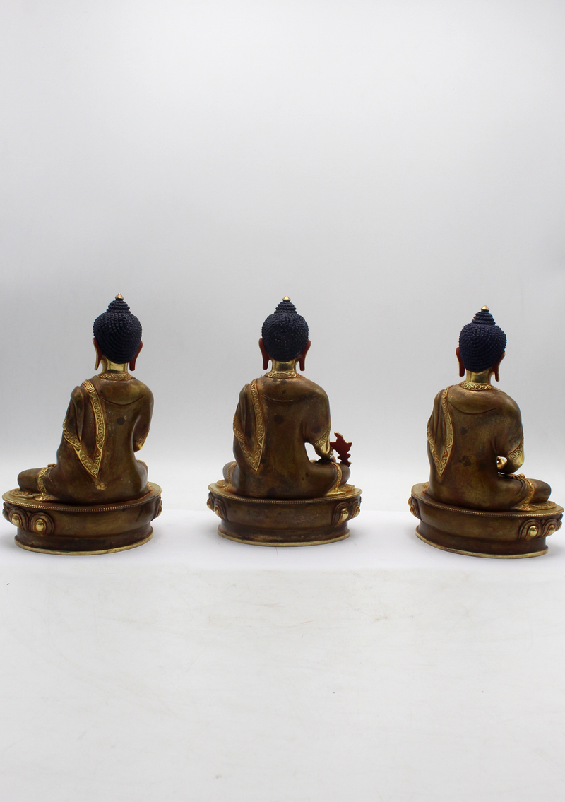 Fine Arts  24 K Gold Sacred Medicine Buddha  Set