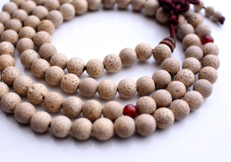 Lotus Seeds 108 Beads Prayer Mala with Carnelian Spacer