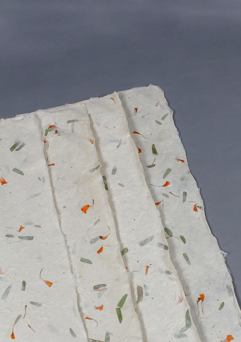 Dried Flowers Embedded Lokta Paper Gift Wrap