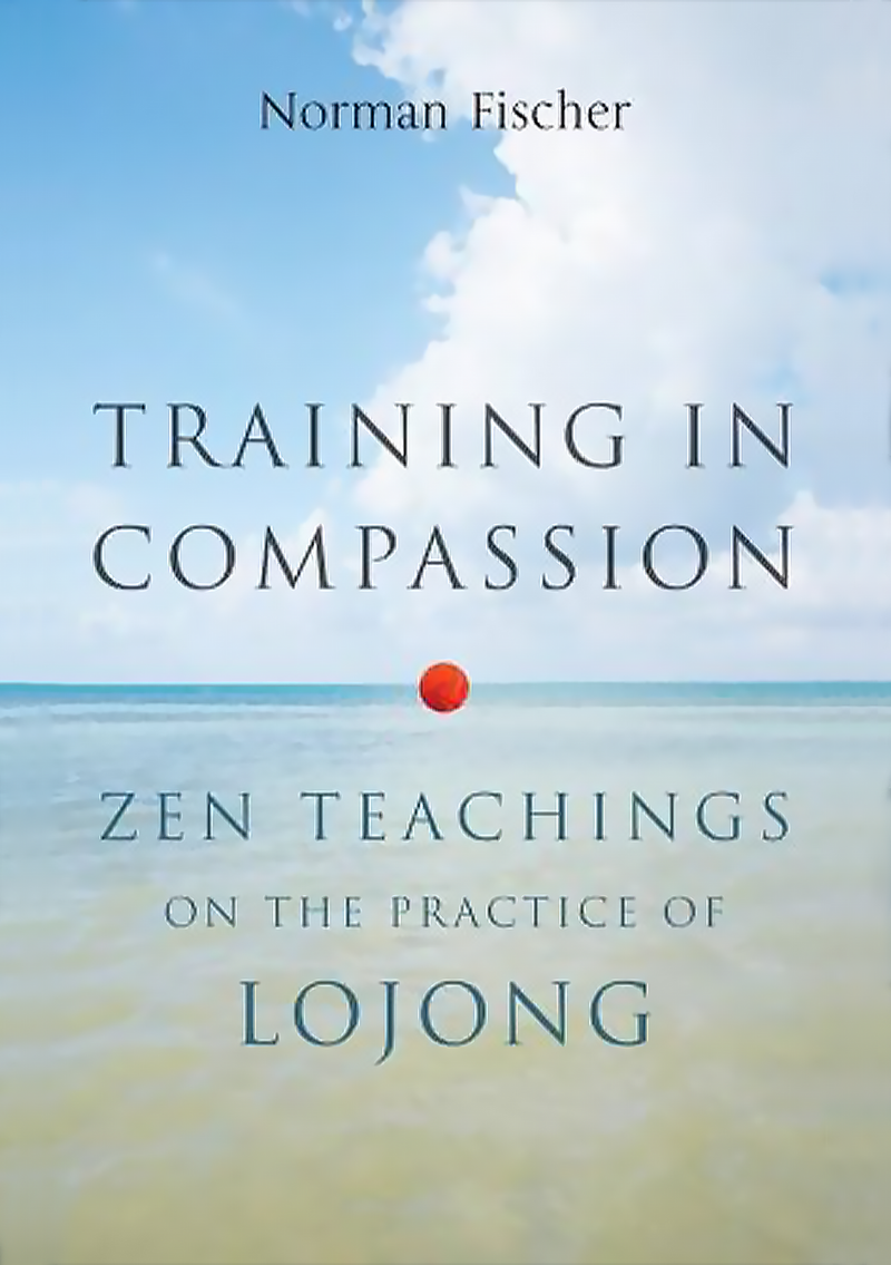 Training In Compassion : Zen Teachings on the Practice of Lojong