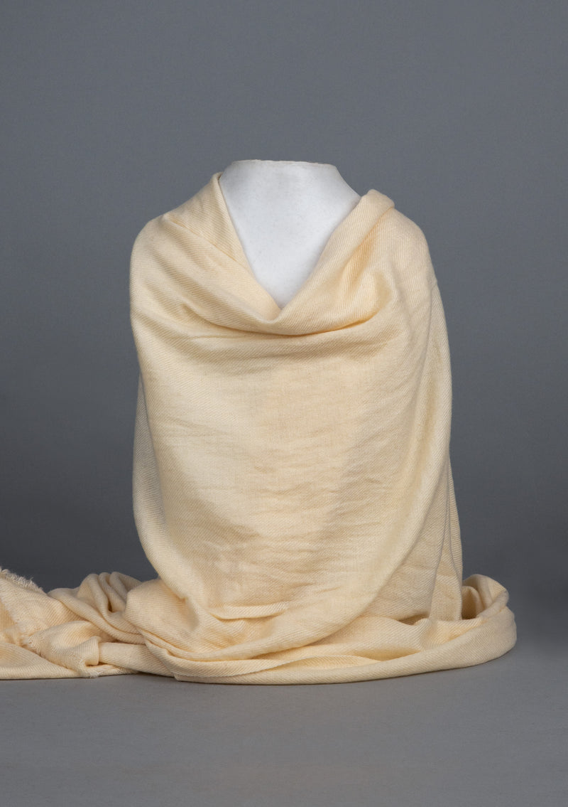 Rich Ivory Pure Pashmina Shawl
