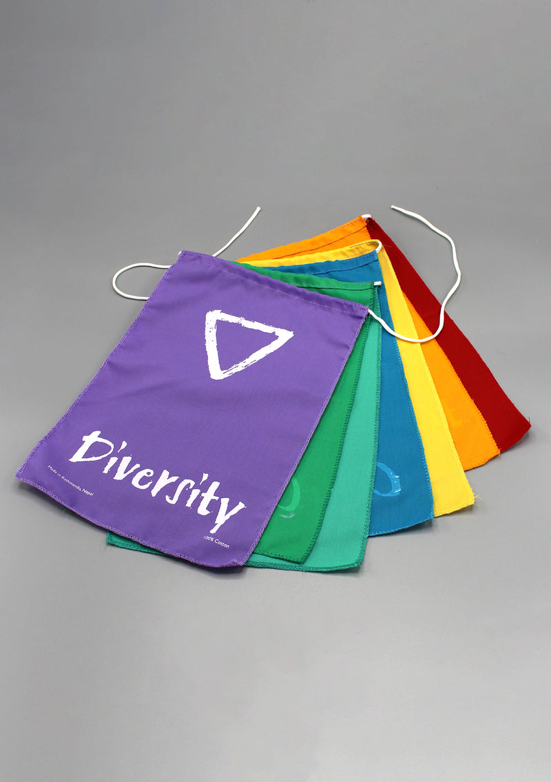 The Diversity  Celebrations  Flags