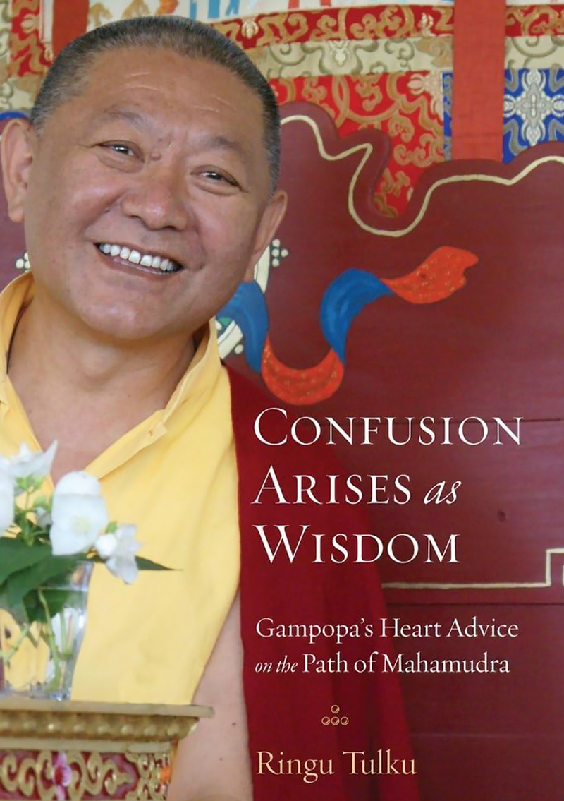 Confusion Arises as Wisdom: Gampopa’s Heart Advice on the Path of Mahamudra