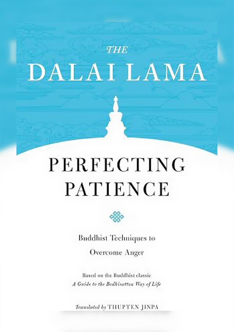 Perfecting Patience : Buddhist Techniques to Overcome Anger