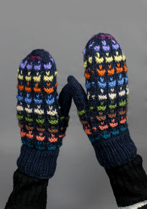 Beautiful Multicolor Handknitted Sherpa Mittens- Deep Blue
