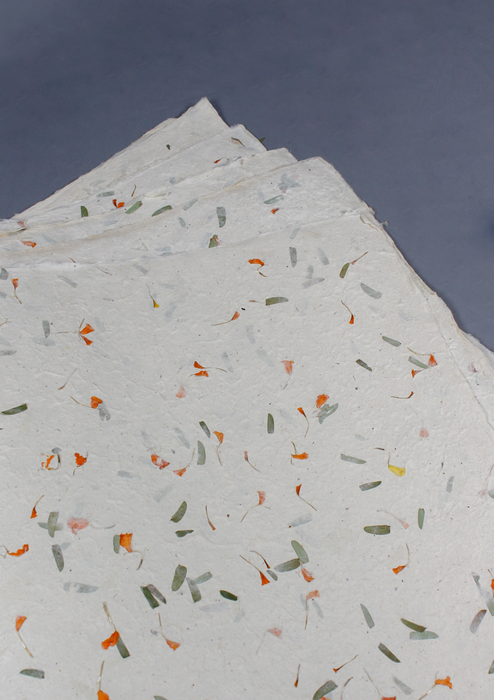 Dried Flowers Embedded Lokta Paper Gift Wrap