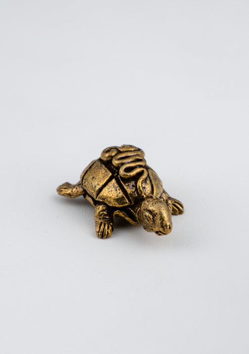 Brass Mini Tortoise Statue 1"