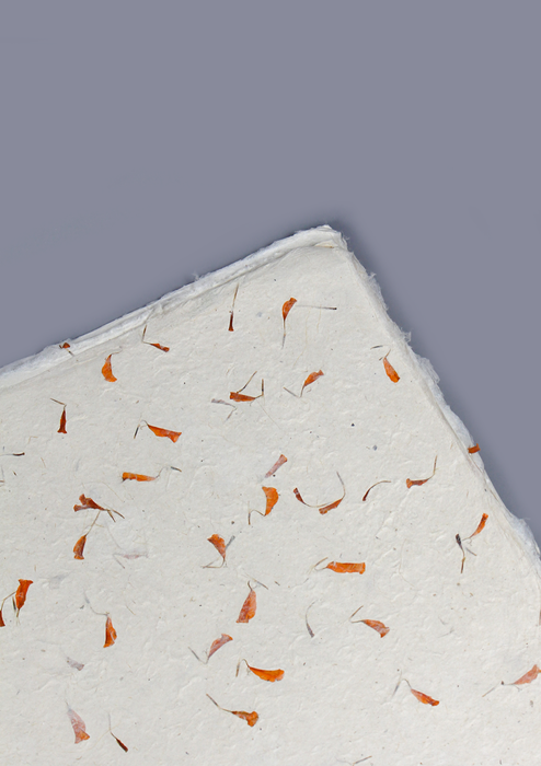 Marigold Flower Petals Embedded Lokta Paper Gift Wrap