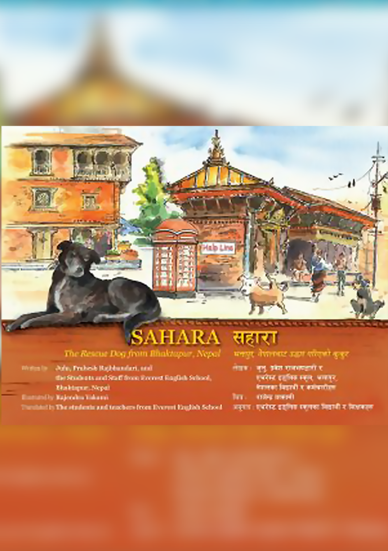Sahara : The Rescue Dog from Bhaktapur, Nepal