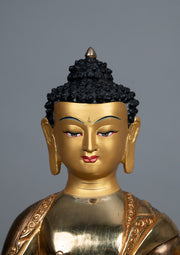Shakyamuni Buddha Statue Zoom Face