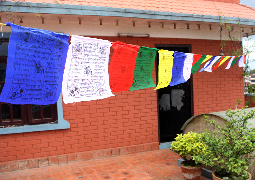 Outdoor  Tibetan Windhorse Prayer Flags