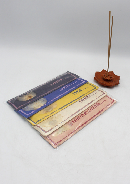 Buddha Healing Series Incense Sticks, Set of 5 Packs, Each 15 g