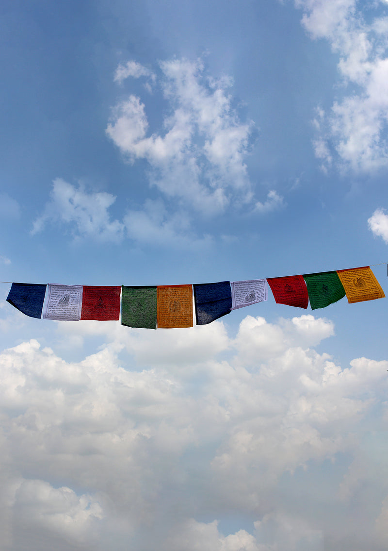 5 Rolls of Large Tibetan Deities Printed Cotton Prayer Flags