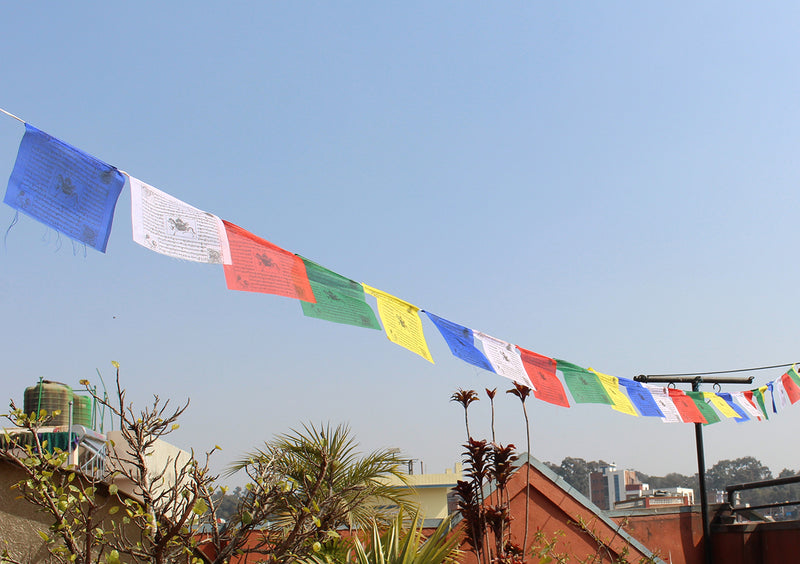 Tibetan Windhorse Prayer Flags