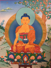 Peaceful thangka of Shakyamuni 66x50cm NTH124 - nepacrafts