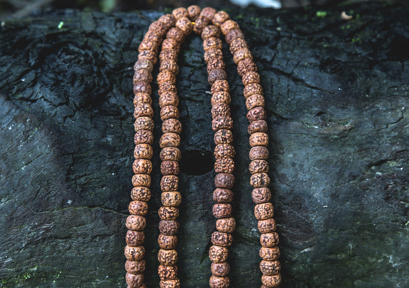Rudrakshya Flat Beads Prayer Mala - nepacrafts