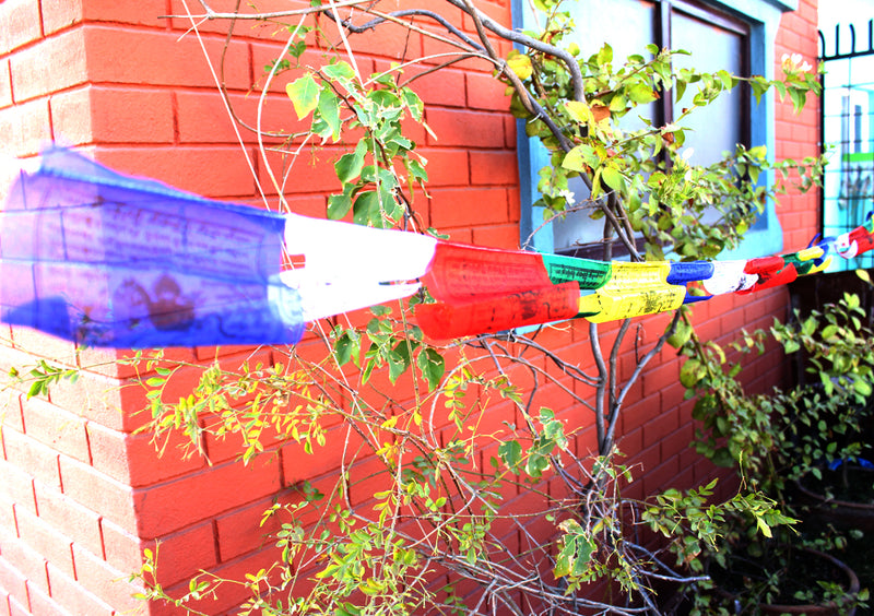 Set of 5 Cotton Windhorse Prayer Flags, Tibet Flags