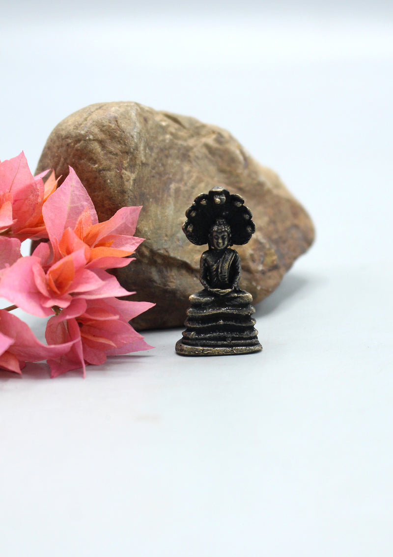 Brass Mini Buddha on Seshnaag Statue