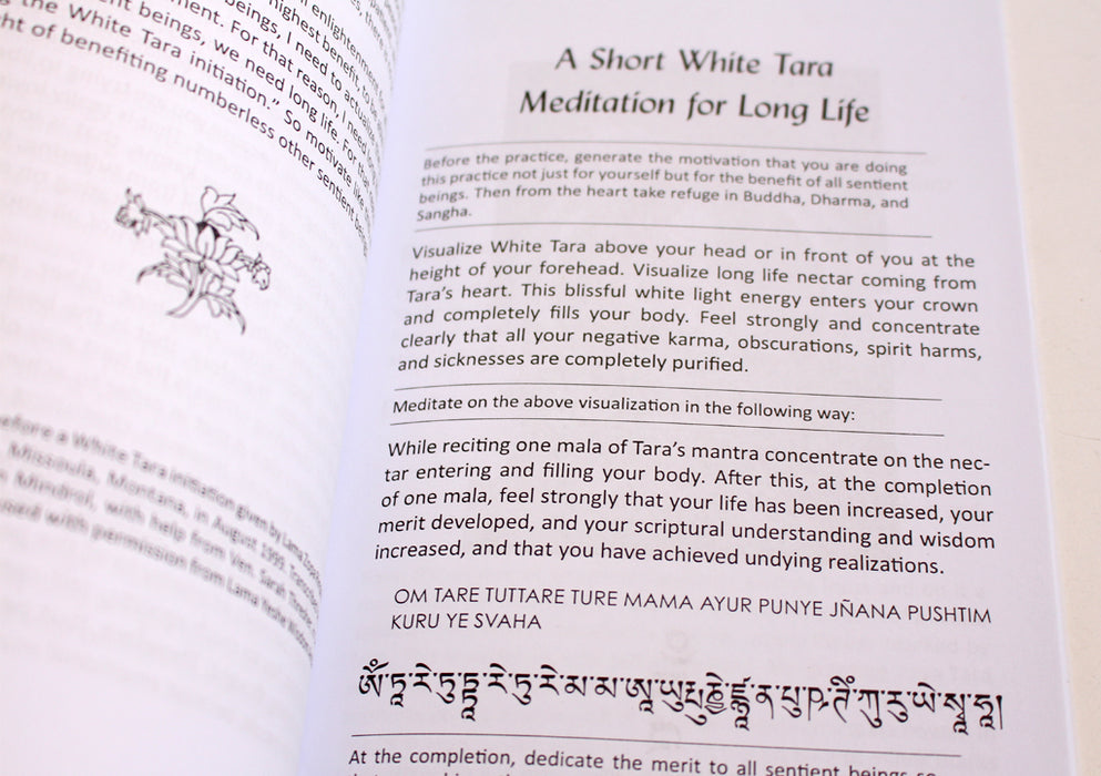 Meditation on White Tara With The Mantra of Infinite Light Buddha, Amitayus - nepacrafts