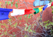 Tibetan Buddhist Windhorse Prayer Flags - nepacrafts
