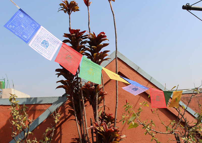 Five Rolls of Tibetan Deities Mini Prayer Flags