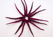 Colorful Urchin Merino Wool Felt Hair Band with beads Decoration - nepacrafts