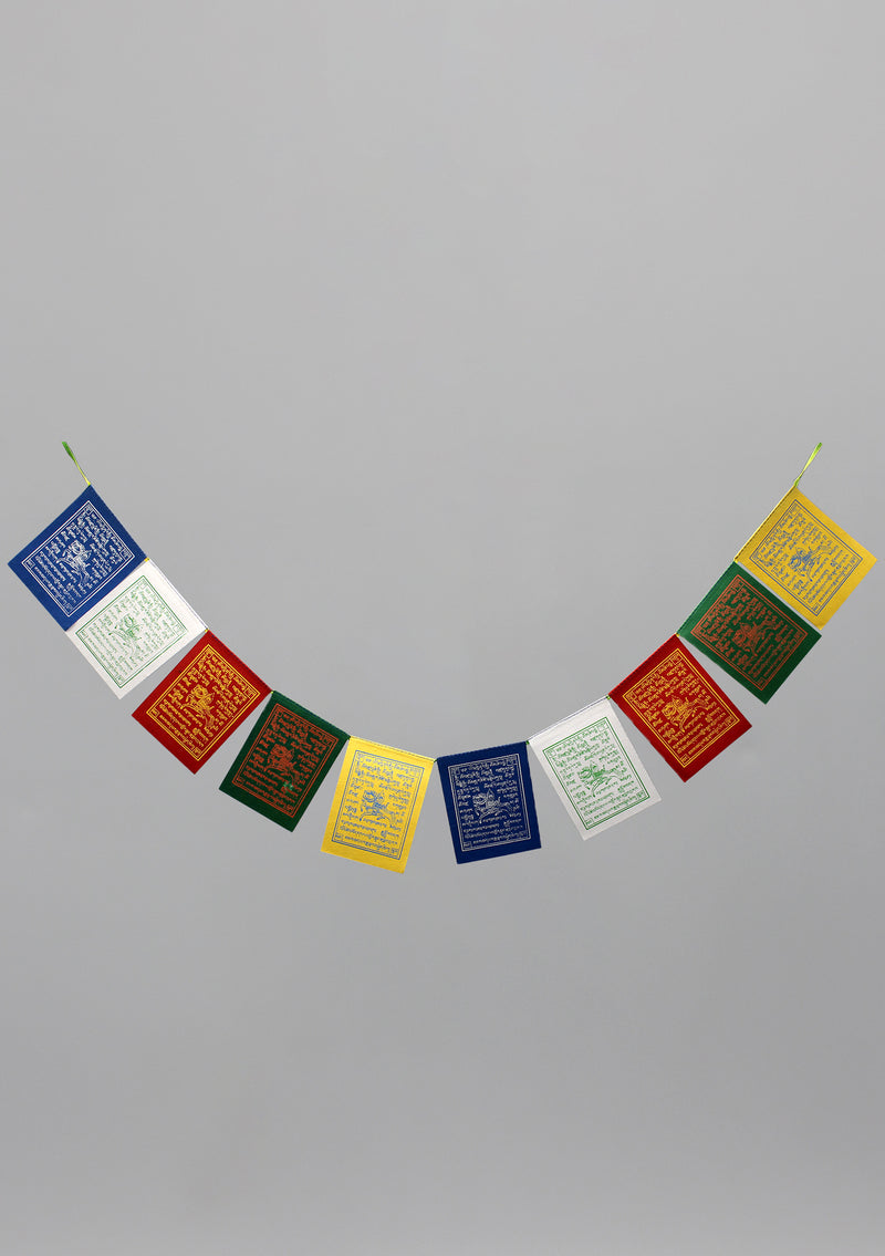 Dharamshala Windhorse Prayer Flags