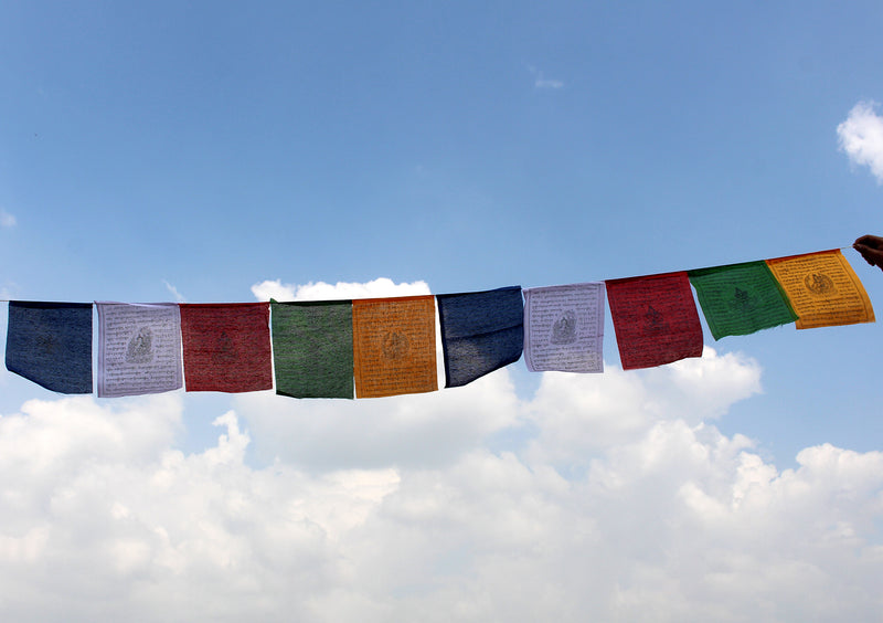 5 Rolls of Large Tibetan Deities Printed Cotton Prayer Flags