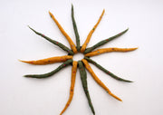 Colorful Urchin Merino Wool Felt Hair Band with beads Decoration - nepacrafts