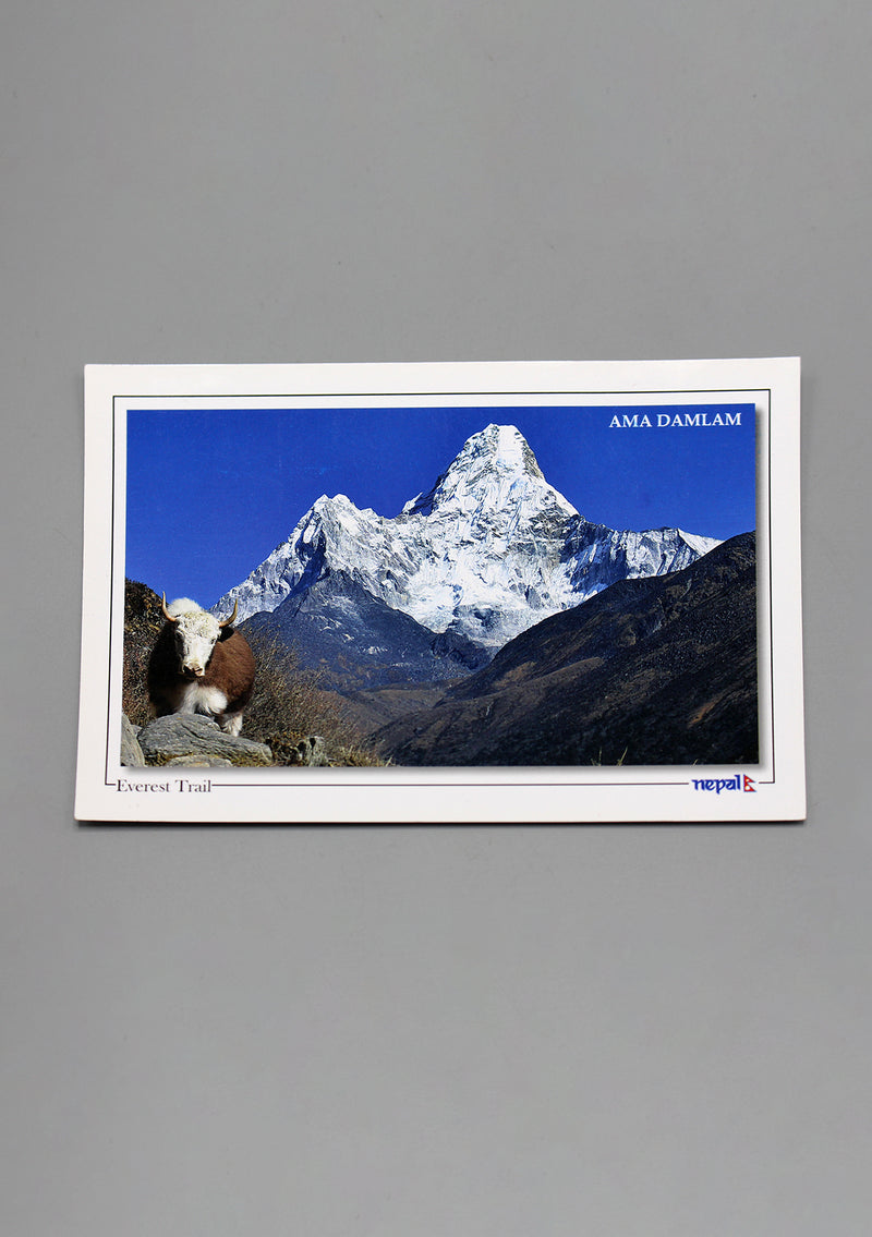 Everest Trail Ama Damlam Postcard