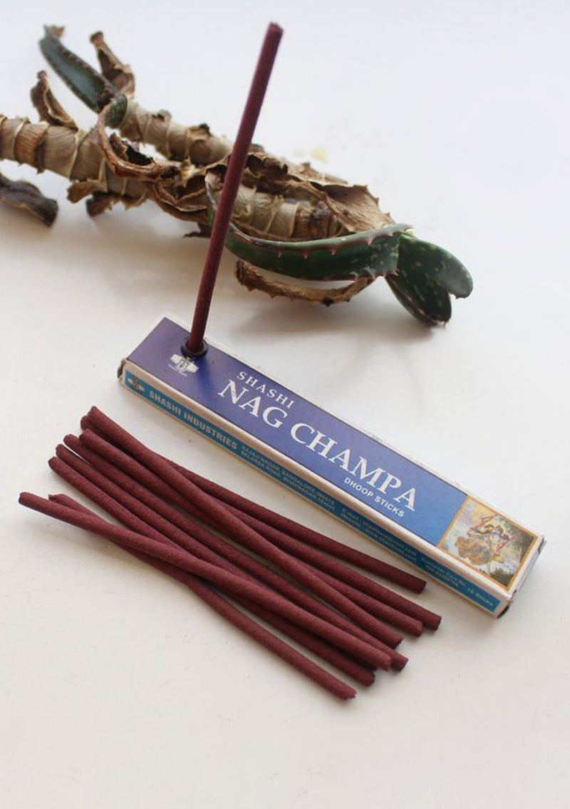 Set of 12 Shashi Nagchampa Dhoop Sticks