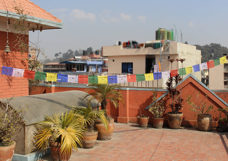 Tibetan Windhorse Prayer Flags