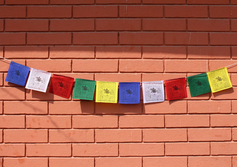 Set of 5 Mini Windhorse Tibetan Prayer Flags