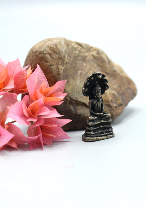 Brass Mini Buddha on Seshnaag Statue