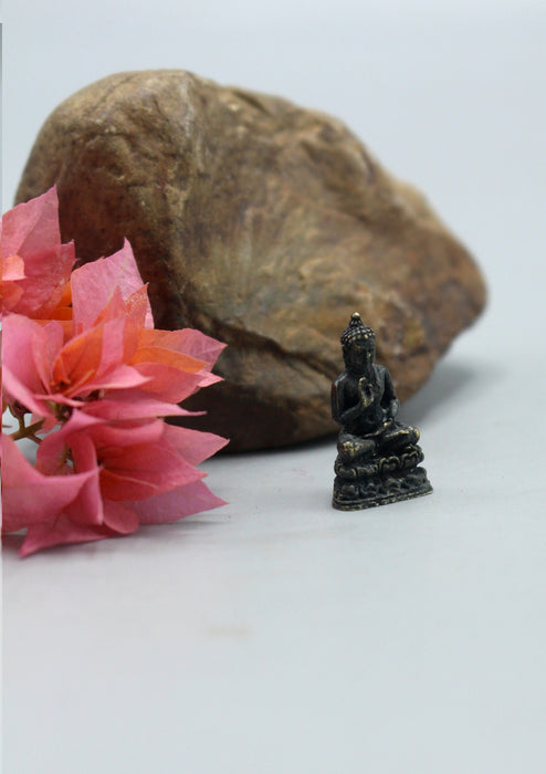 Brass Mini Amoghasiddhi Buddha Statue