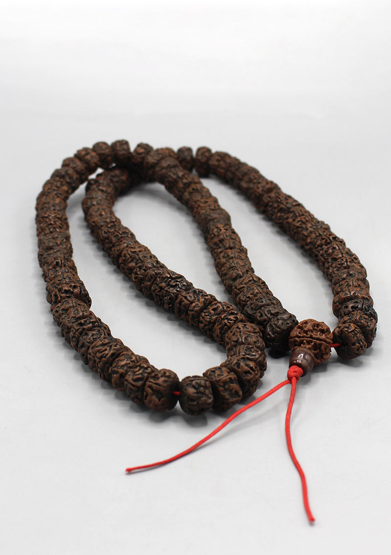 Rudrakshya Seeds Shiva Shakti  Prayer Mala