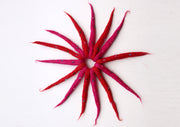 Colorful Urchin Merino Wool Felt Hair Band with beads Decoration - nepacrafts